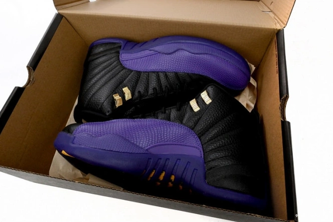 Rep Retro 12 Jordan Air Field Purple CT8013-057 0718